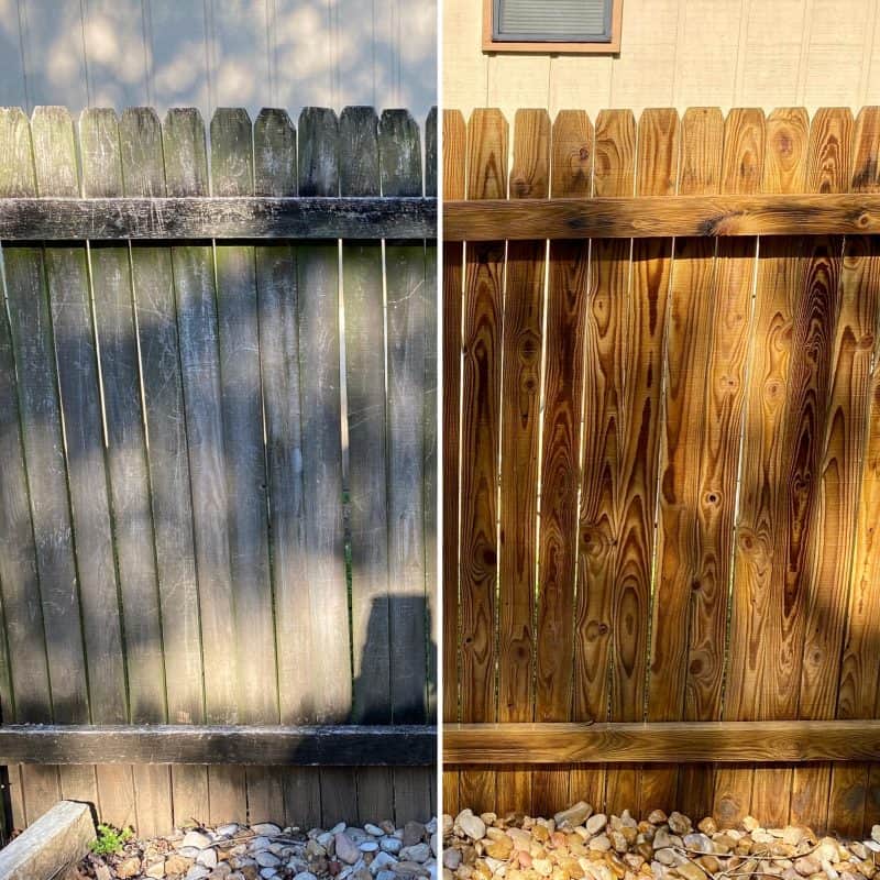 austin fence cedar fence cleaning